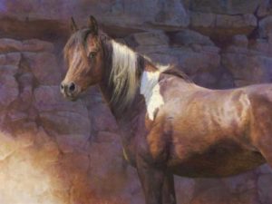 Up Close and Personal Up Close and Personal