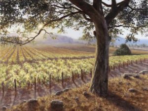 Mother Nature’s Magic Mother Nature’s Magic