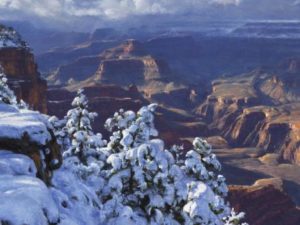 King of the Canyon King of the Canyon