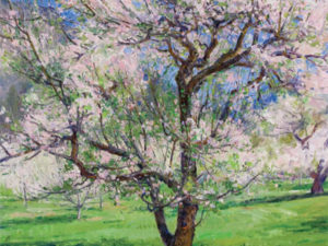 The Love Affair Continues