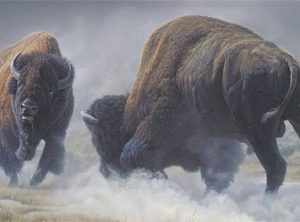 No Substitute for Being There