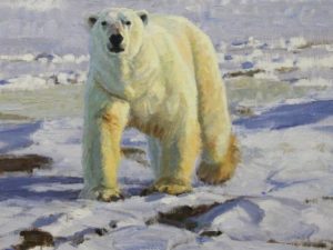 Wildlife Wonders Wildlife Wonders