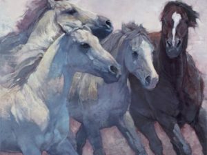 Creative Adventure Creative Adventure