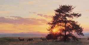 The Studio of Jay Moore