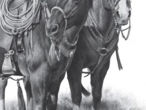 Pencil Passion Pencil Passion