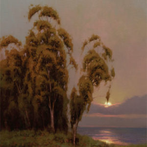 I’m Not Just an Artist