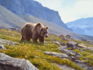 A Passion For Creativity A Passion For Creativity