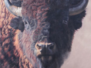 A Lifelong Journey A Lifelong Journey