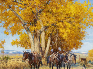 The Softer Side of the West The Softer Side of the West