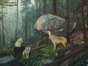 Stalking Perfection in the Great Outdoors