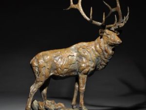 ‘My Best Years are Still Ahead’