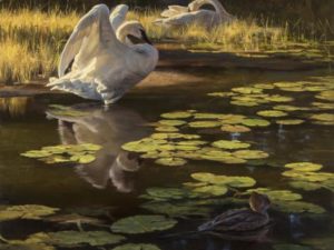 Heading in the Right Direction