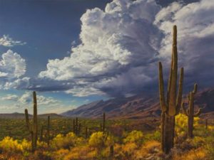 ‘Let There Be Light—and Color’