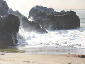 A Revolutionary Career