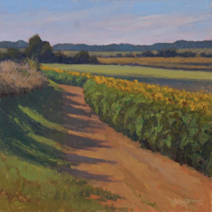 Sunflower Field 12x12 oil-hi res Sunflower Field 12x12 oil-hi res