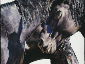 The Studio of William Matthews The Studio of William Matthews