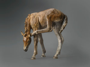 Genuine Moments Genuine Moments