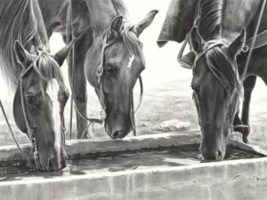 The Studio of Mary Ross Buchholz