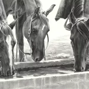 The Studio of Mary Ross Buchholz