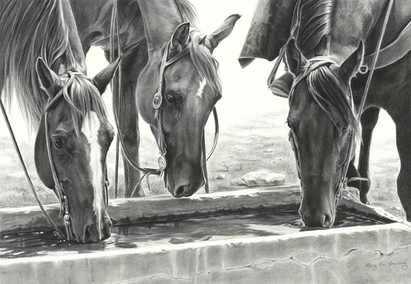 Charcoal drawing of three horses drinking from a water trough