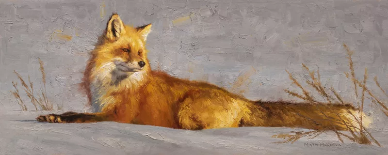 Oil of a fox laying in the snow