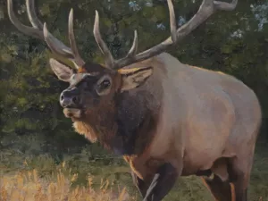 The Road to Western Wildlife