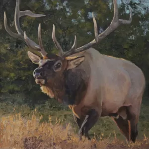 The Road to Western Wildlife