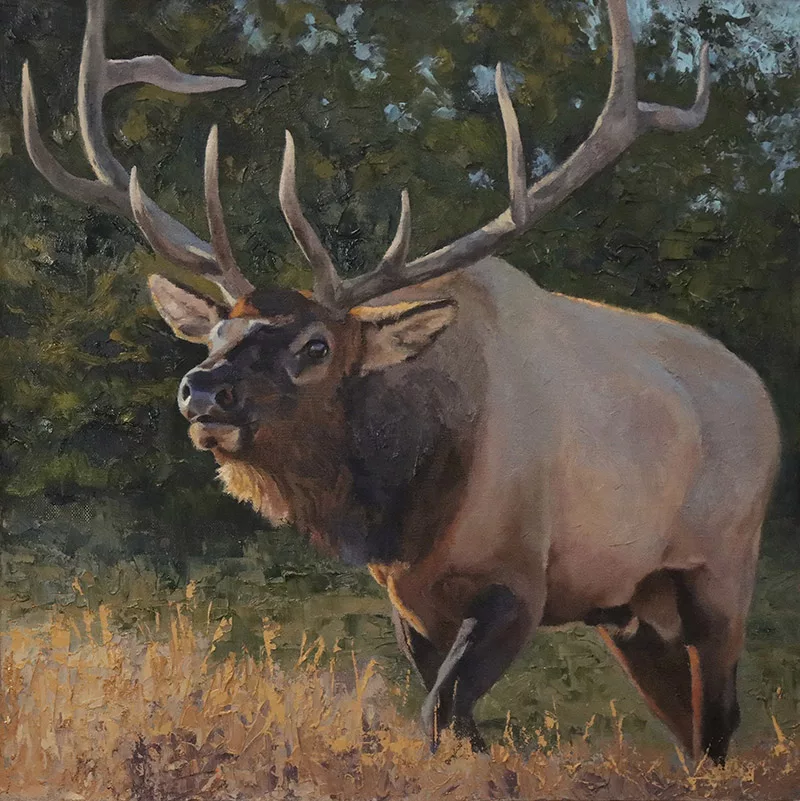 Oil painting of a bull posturing by Carol Lundeen.