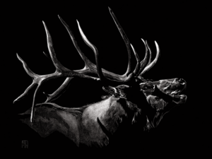 Putting Scratchboard on the Map Putting Scratchboard on the Map