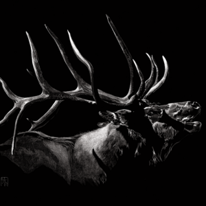 Putting Scratchboard on the Map