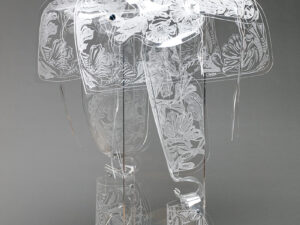 Unique Views of the West