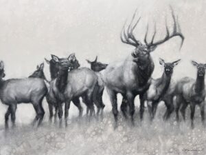 An Unexpected “Yellowstone” Co-Star