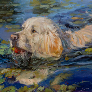 Dogs, Landscapes, and More