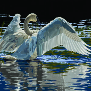 Art and Conservation