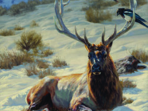 The Studio of Dustin Van Wechel The Studio of Dustin Van Wechel