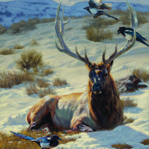 The Studio of Dustin Van Wechel