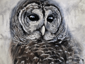 Basking in the Glow Basking in the Glow