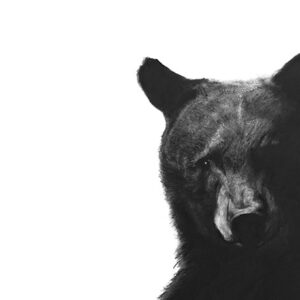 Communicating Without Color