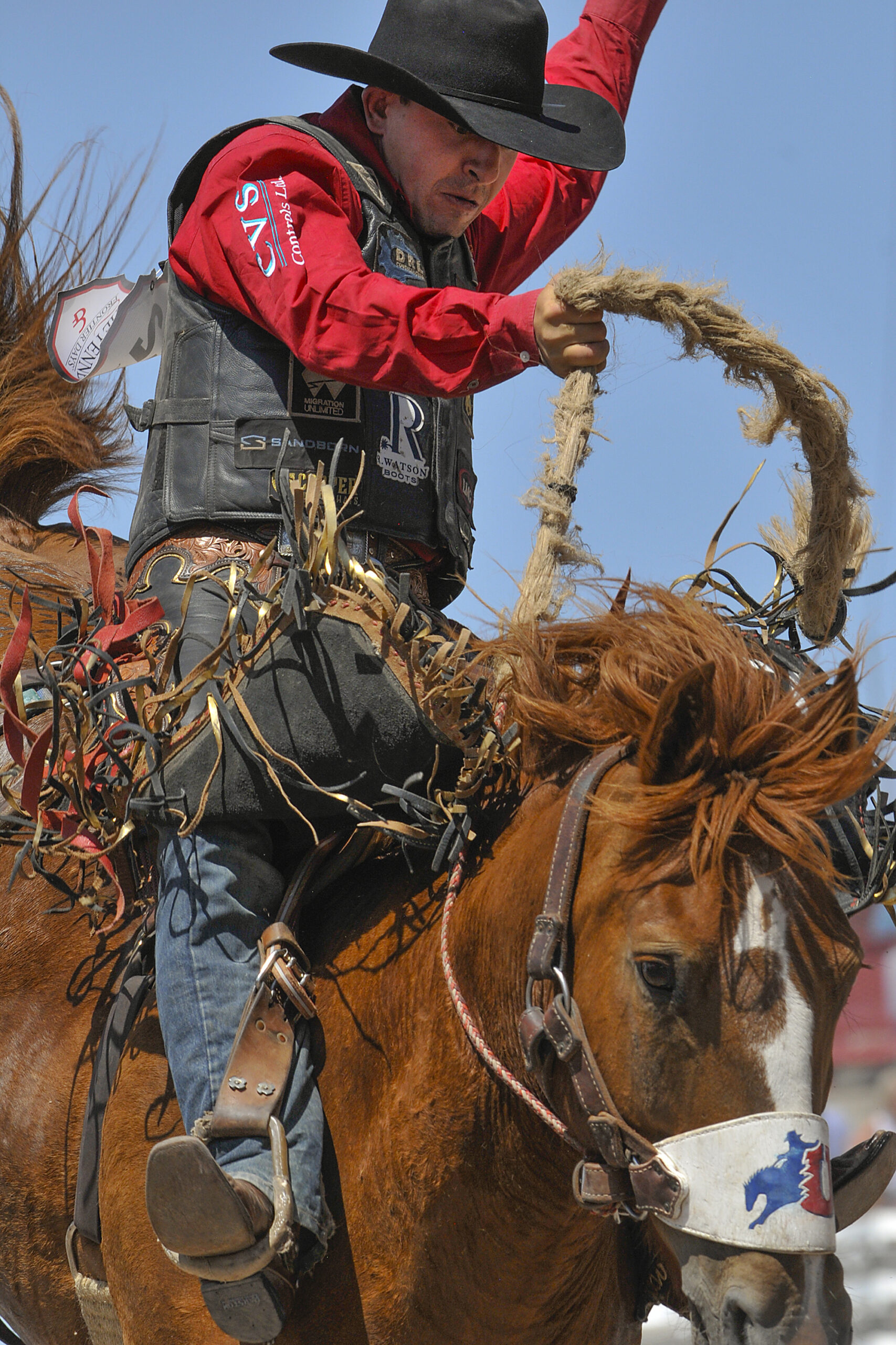 Cheyenne Frontier Days rider on brown horse