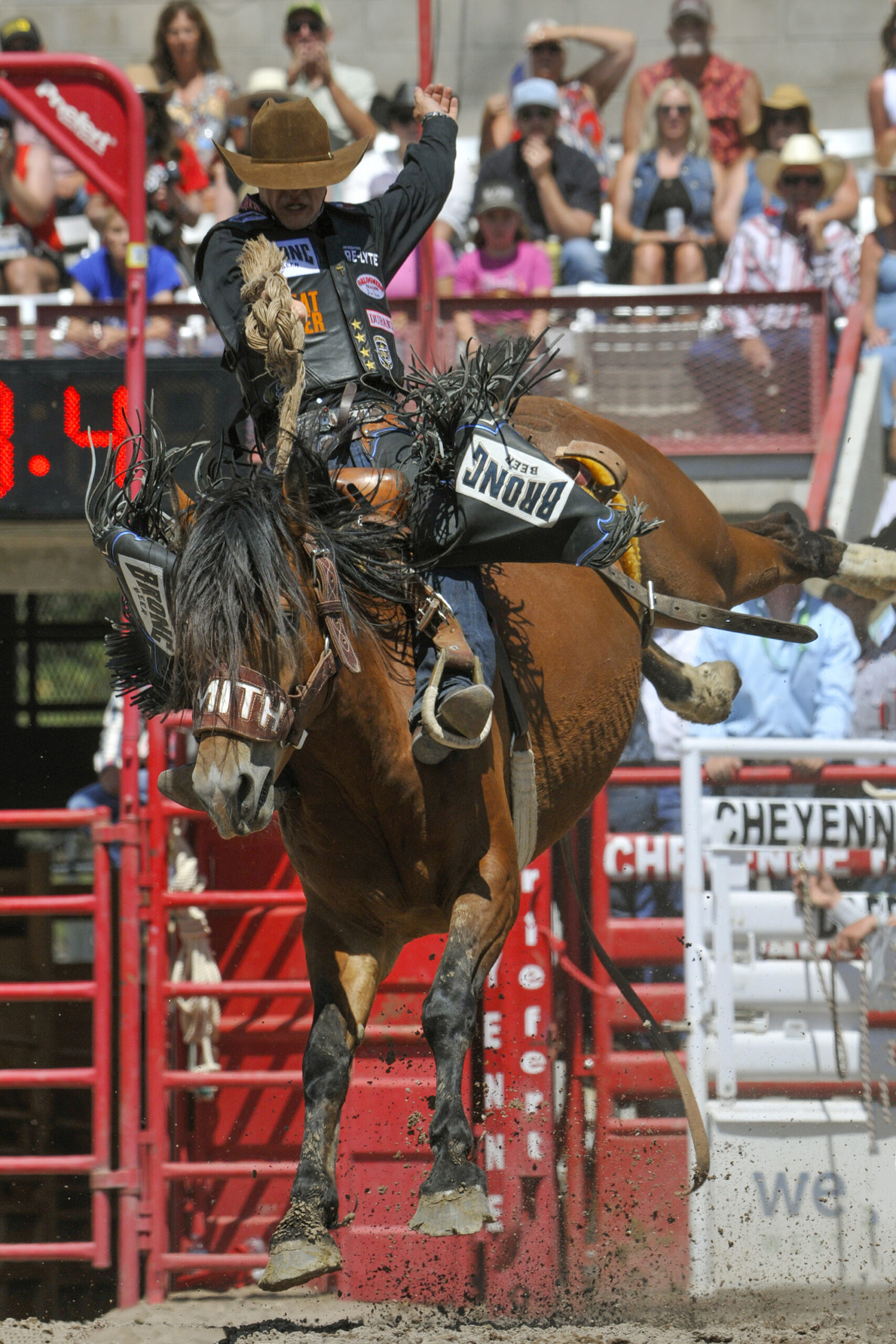 Cheyenne Frontier Days Rodeo Roper on Brown Horse