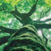 Celebrating the Art of Conservation