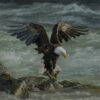 Amazing Life, Amazing Art